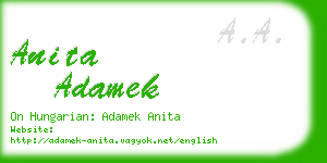 anita adamek business card